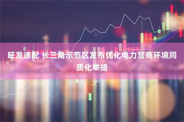 旺发速配 长三角示范区发布优化电力营商环境同质化举措