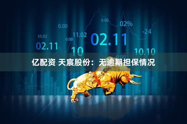亿配资 天宸股份：无逾期担保情况