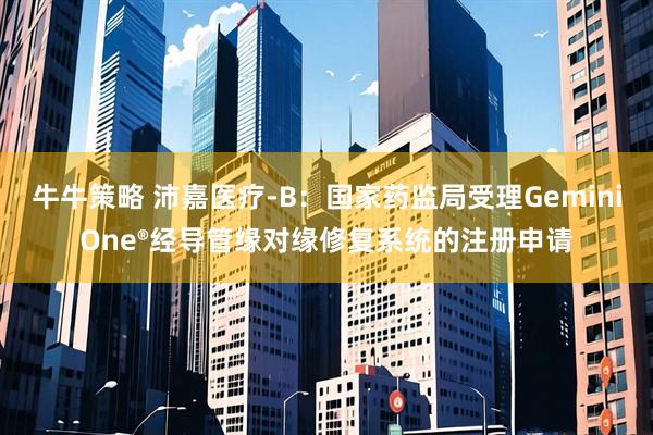 牛牛策略 沛嘉医疗-B：国家药监局受理GeminiOne®经导管缘对缘修复系统的注册申请