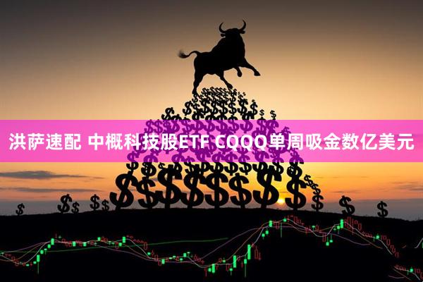 洪萨速配 中概科技股ETF CQQQ单周吸金数亿美元